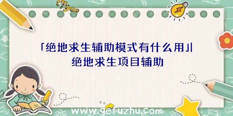 「绝地求生辅助模式有什么用」|绝地求生项目辅助